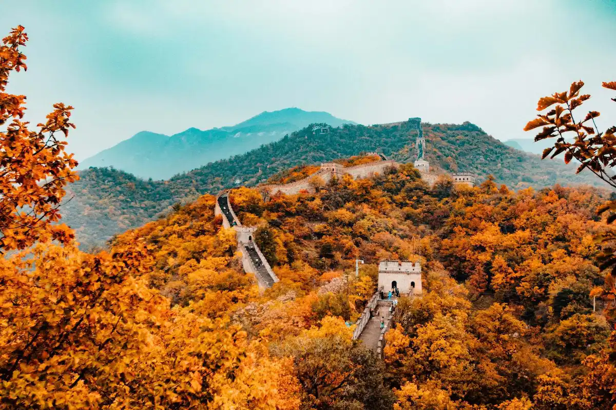 Great Wall in autumn, vibrant foliage view.